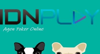 Agen Poker Online Memahami Permainan Yang Mudah 